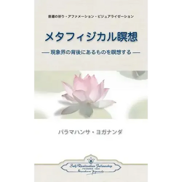 Metaphysical Meditations (Japanese)