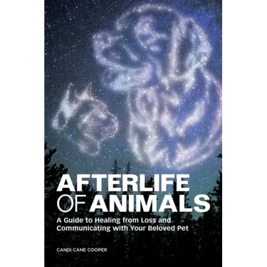 Afterlife of Animals: A Guide to Healing from Loss and Communicating with Your Beloved Pet