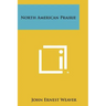 North American Prairie