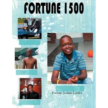 Fortune 1500: A Story in Pictures