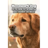 Hovawart Dog: Did You Know This Information About Hovawart Dog Breed?: Hovawart Dog Outline Handbook