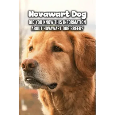 Hovawart Dog: Did You Know This Information About Hovawart Dog Breed?: Hovawart Dog Outline Handbook