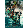 midnight & indigo: Twenty-two Speculative Stories by Black Women Writers