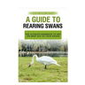 A Guide to Rearing Swans: The ultimote handbook to get the best out of your Swans