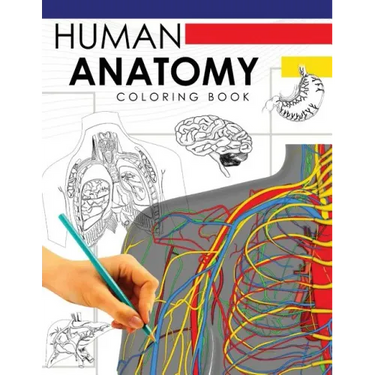 Human Anatomy Coloring Book: A Complete Study Guide (5th Edition)