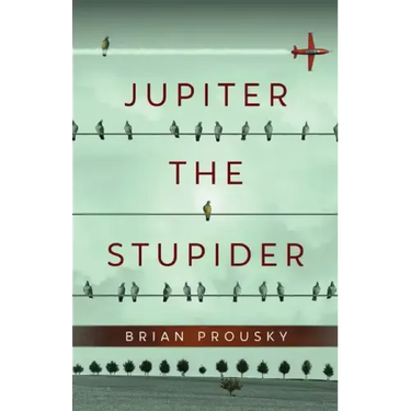 Jupiter the Stupider