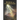 Shards of Illumination: Breaking through the Deception