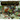 Dinotopia, a Land Apart from Time: 20th Anniversary Edition