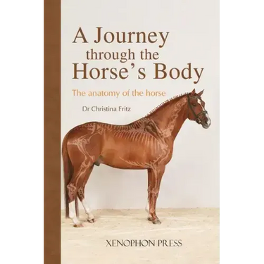 A Journey Through the Horse's Body: The Anatomy of the Horse