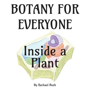 Botany for Everyone: Inside a Plant