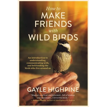 How To Make Friends With Wild Birds