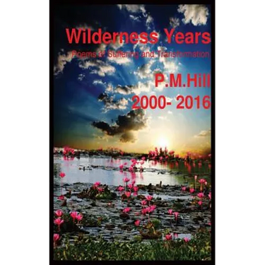 Wilderness Years