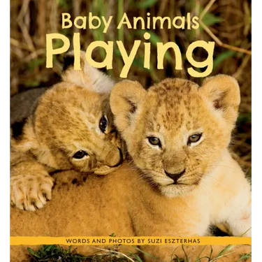 Baby Animals Playing