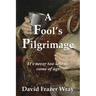 A Fool's Pilgrimage: It's never too late to come of age