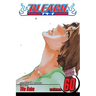 Bleach, Vol. 60: Everything But the Rain