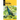 Birding Florida