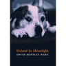 Roland in Moonlight