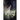 Hidden Wings (Hidden Wings Series Book One)