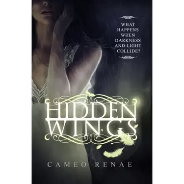 Hidden Wings (Hidden Wings Series Book One)