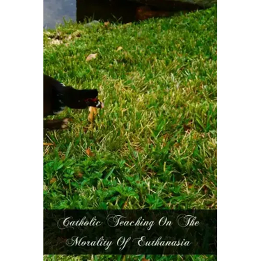 Catholic Teaching On The Morality Of Euthanasia