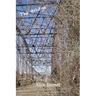 The Bridge