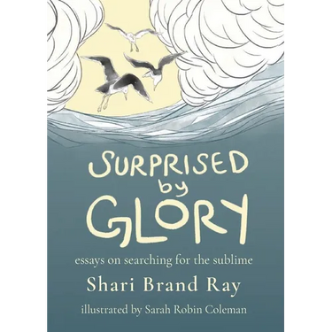 Surprised by Glory: Essays on Searching for the Sublime