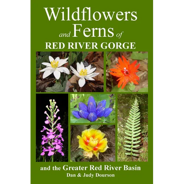 Wildflowers and Ferns of Red River Gorge and the Greater Red River Basin