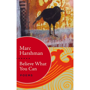 Believe What You Can: Poems