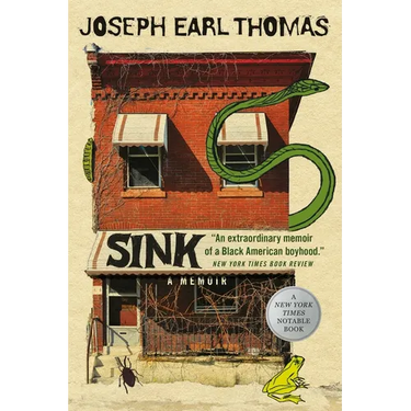 Sink: A Memoir