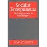Socialist Entrepreneurs