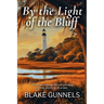 By the Light of the Bluff: A Historical Fiction Novel of a Woman's Courage, Buried Secrets, and Finding Home in Post-Civil War Georgia