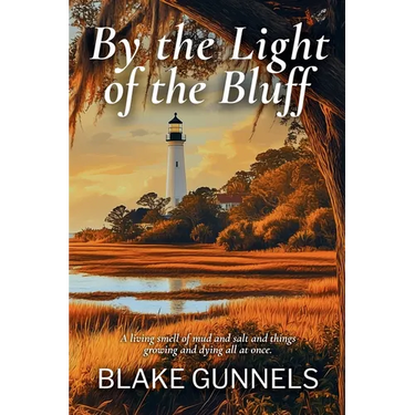 By the Light of the Bluff: A Historical Fiction Novel of a Woman's Courage, Buried Secrets, and Finding Home in Post-Civil War Georgia