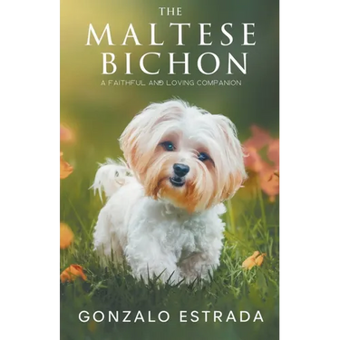 The Maltese Bichon