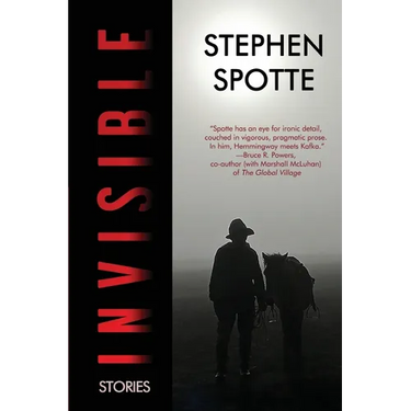 Invisible: Stories