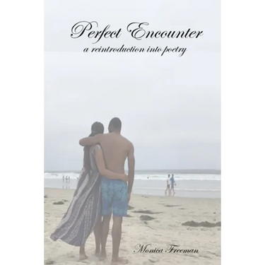 Perfect Encounter: a reintroduction into poetry