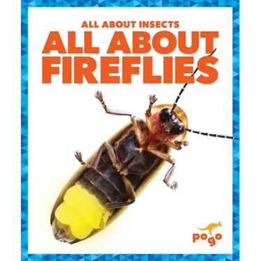 All about Fireflies