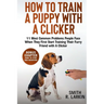 How to Train a Puppy with a Clicker: 11 Most Common Problems People Face When They First Start Training Their Furry Friend with A Clicker