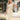 ace76eeb-8795-4bcc-be77-c604263338c7-Max