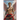 Cupid's Last Arrow: A Valentine Spicy Romance