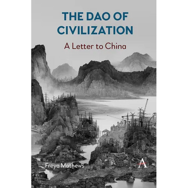 The DAO of Civilization: A Letter to China