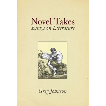 Novel Takes: Essays on Literature