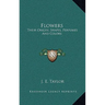 Flowers: Their Origin, Shapes, Perfumes And Colors