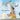 Simon's Sea Gull