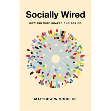 Socially Wired: How Culture Shapes Our Brains