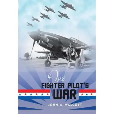 One Fighter Pilot's War