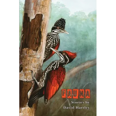 Fauna