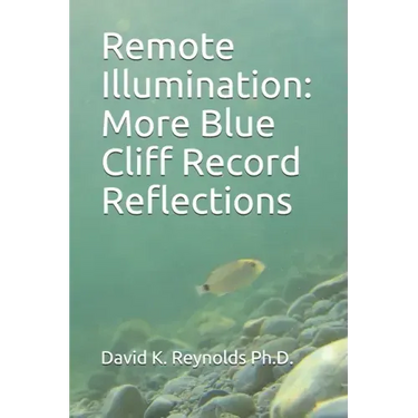 Remote Illumination: More Blue Cliff Record Reflections