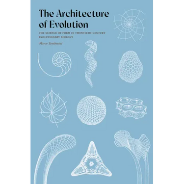 The Architecture of Evolution: The Science of Form in Twentieth-Century Evolutionary Biology
