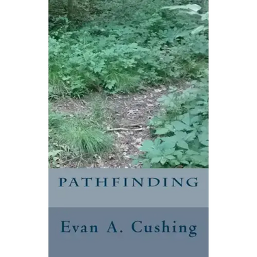 Pathfinding