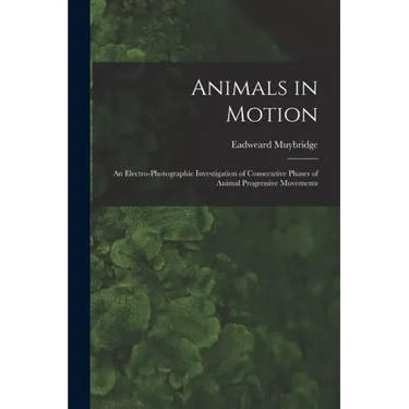 Animals in Motion: an Electro-photographic Investigation of Consecutive Phases of Animal Progressive Movements